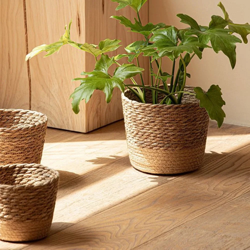 Handmade Woven Seagrass Planter Basket – 3 Sizes Woven Planter Basket HIP