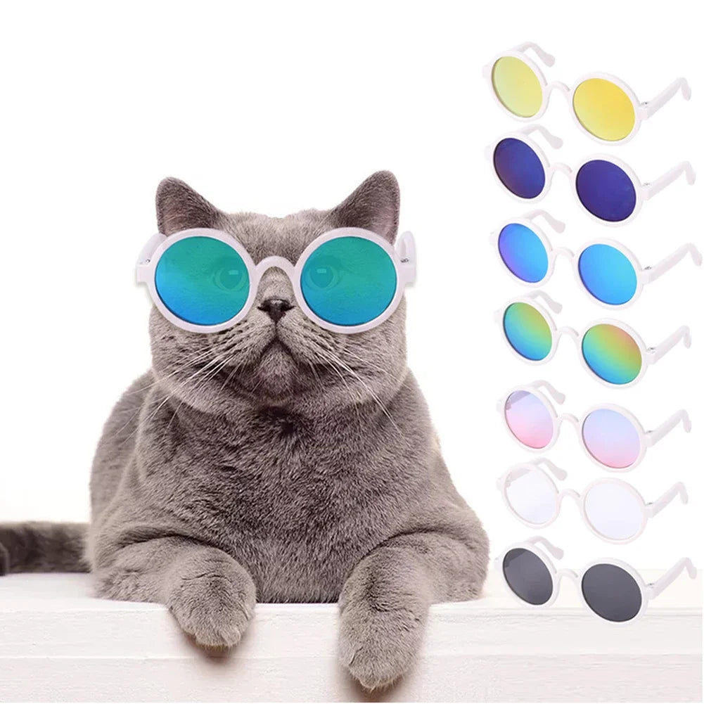 Pet Glasses Small Pet Sunglasses Stylish Pet Sunglasses for Dogs Cats Fashionable Eyewear for Sun Wind Lightweight HIP