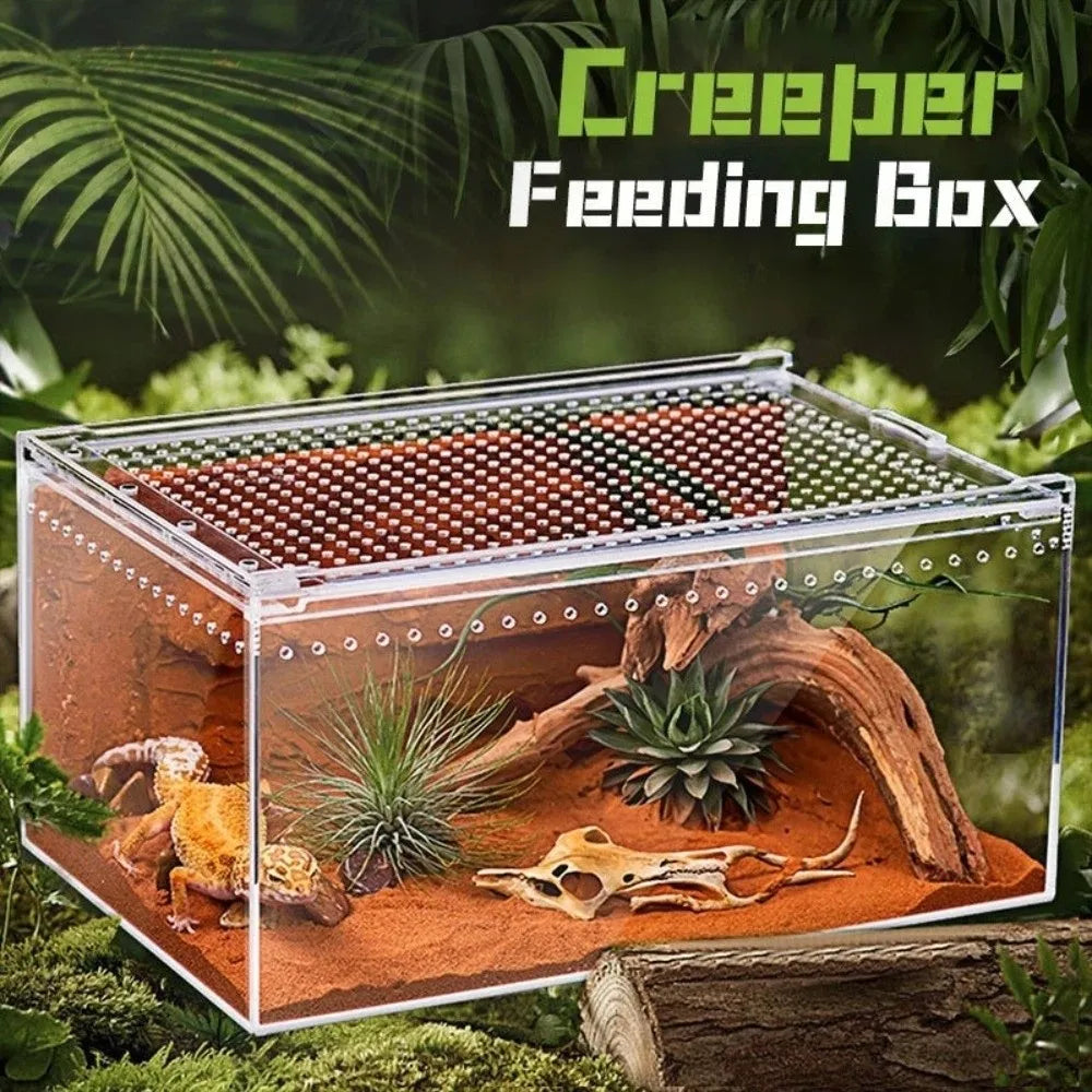 Transparent Acrylic Reptile Terrarium – Ventilated & Secure Reptile Terrarium HIP