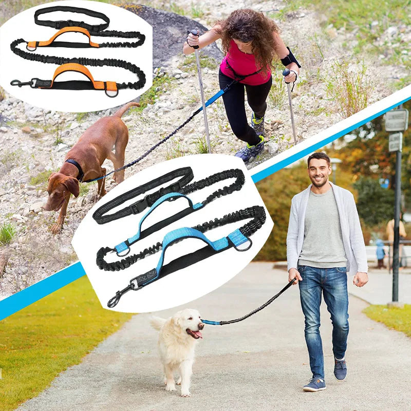 Double Elastic Reflective Running Leash Portable Retractable Dog Leash Dog Chain Leash Pet Supplies Wholesale HIP
