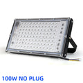 YNL UV LED Floodlight 50W/100W Blacklight 395nm 400nm UV LED Floodlight HIP 100W no plug