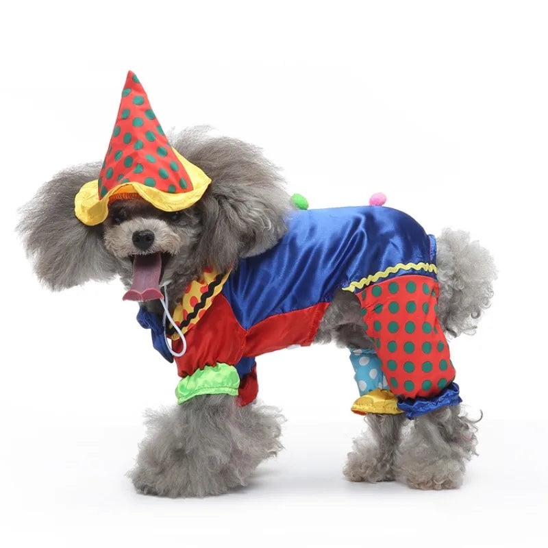 Halloween & Christmas Dog Costume – Clown & Wizard | HIP Pet Costume HIP