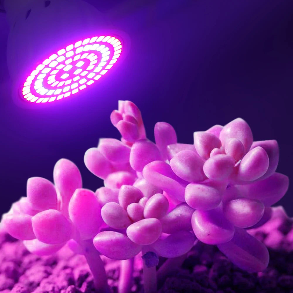 YNL Full Spectrum E27 LED Grow Bulb – 60/80 LEDs Indoor Plants LED Grow Light Bulb HIP