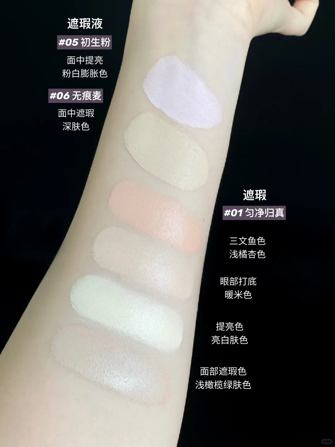 InsBAHA Rebel Concealer Palette – Salmon Shade Cream 10.4g Cream Concealer Palette HIP