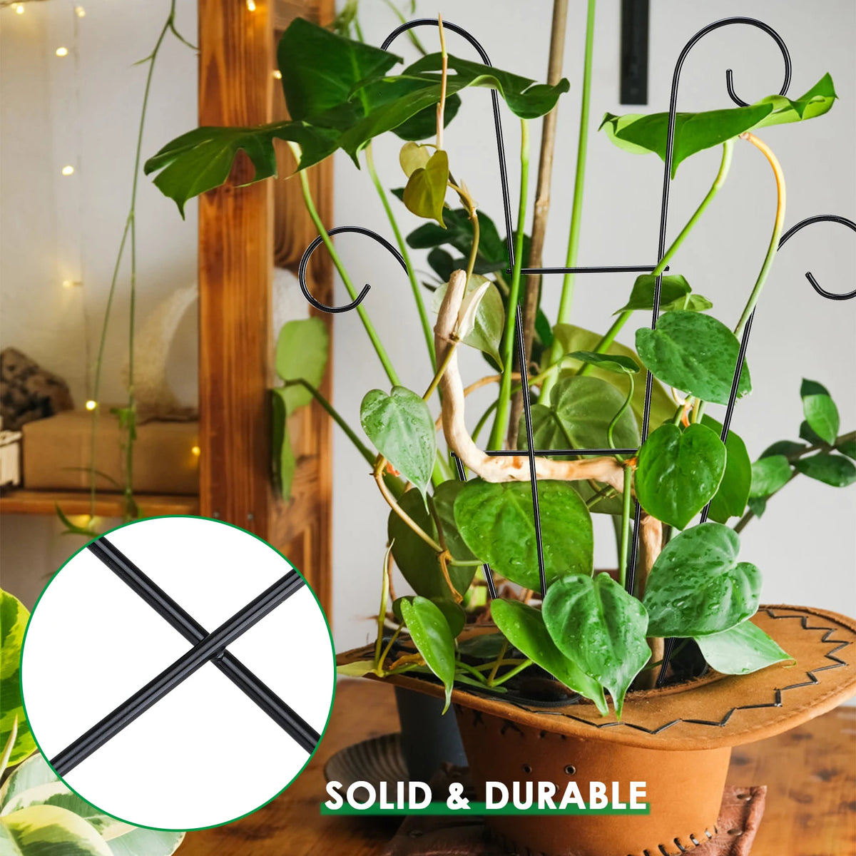 Climbing Plant Trellis Plant Trellis Small Metal Potted Vine Support Climber Garden Trellis for Indoor Outdoor 40 X 30cm HIP