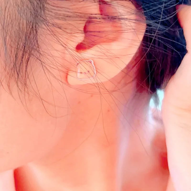 Panda Bubu Cartoon Silver Needle Ear Studs – Cute Gift Cartoon Ear Studs HIP