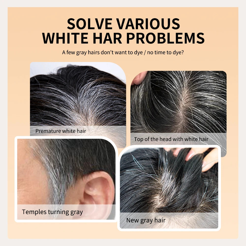 2in1 Hair Dye Stick with Comb Waterproof Sweat Proof Black Brown Coffee Long Lasting Temporary Hair Coloring Hairline Pen HIP