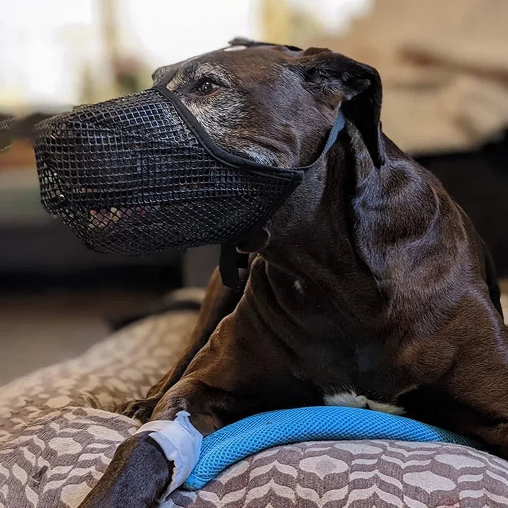 Soft Mesh Covered Dog Muzzle Poisoned Bait Protection With Adjustable Straps Prevent Biting Chewing And Licking HIP
