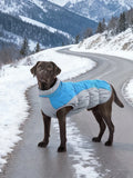 Winter Cotton Dog Jacket with D-Ring | Small to Large Dogs Dog Winter Jacket HIP green S