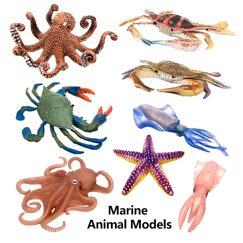 Cute Mini Soft Squid Starfish Marine Animal Model Ornament for Stress Relief Children's Education Gift Home Decoration HIP