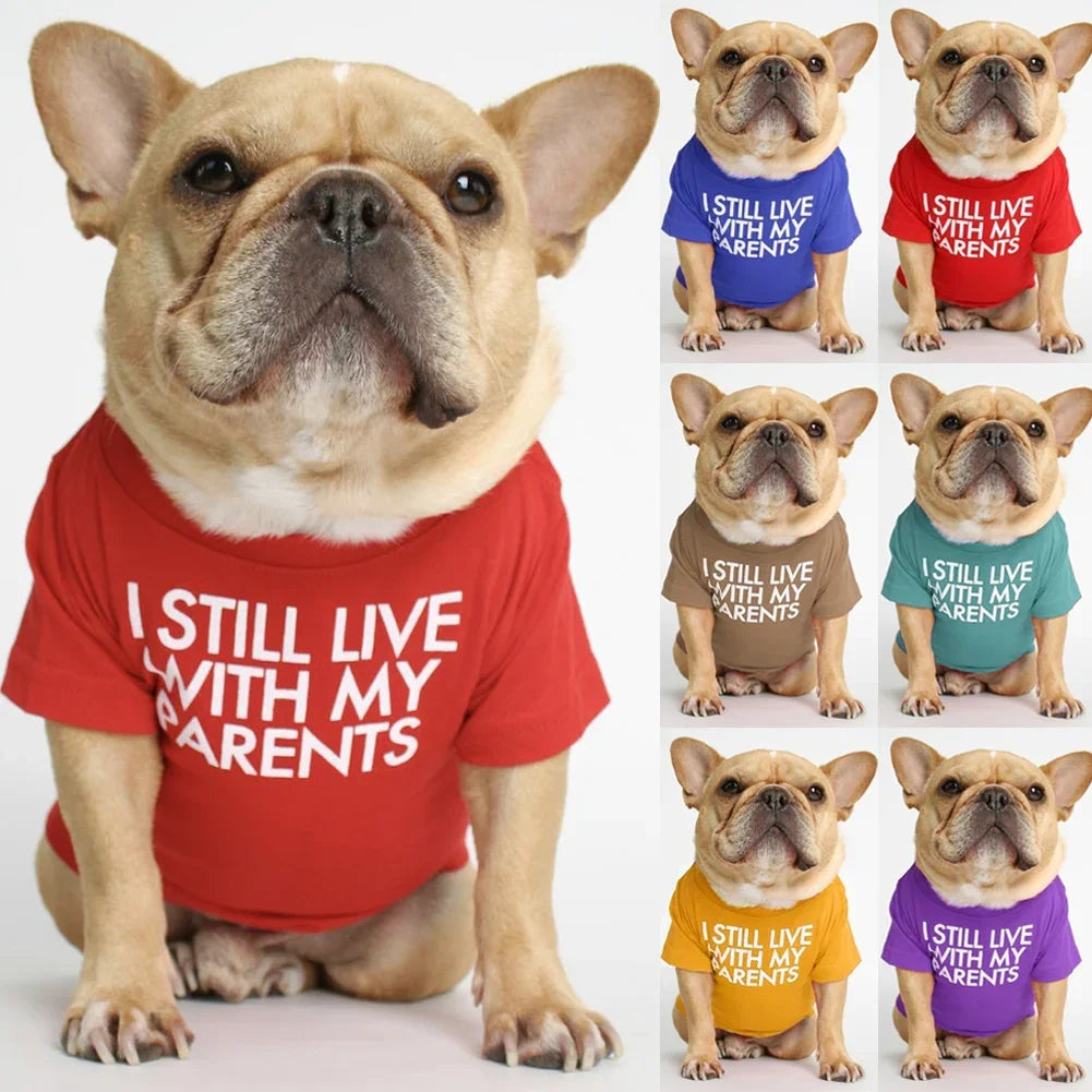 Summer Spring Dog Clothes Quality Breathable Pet Clothing Soft Letters Printed French Bulldog Clothes for Small Dogs T-shirt HIP