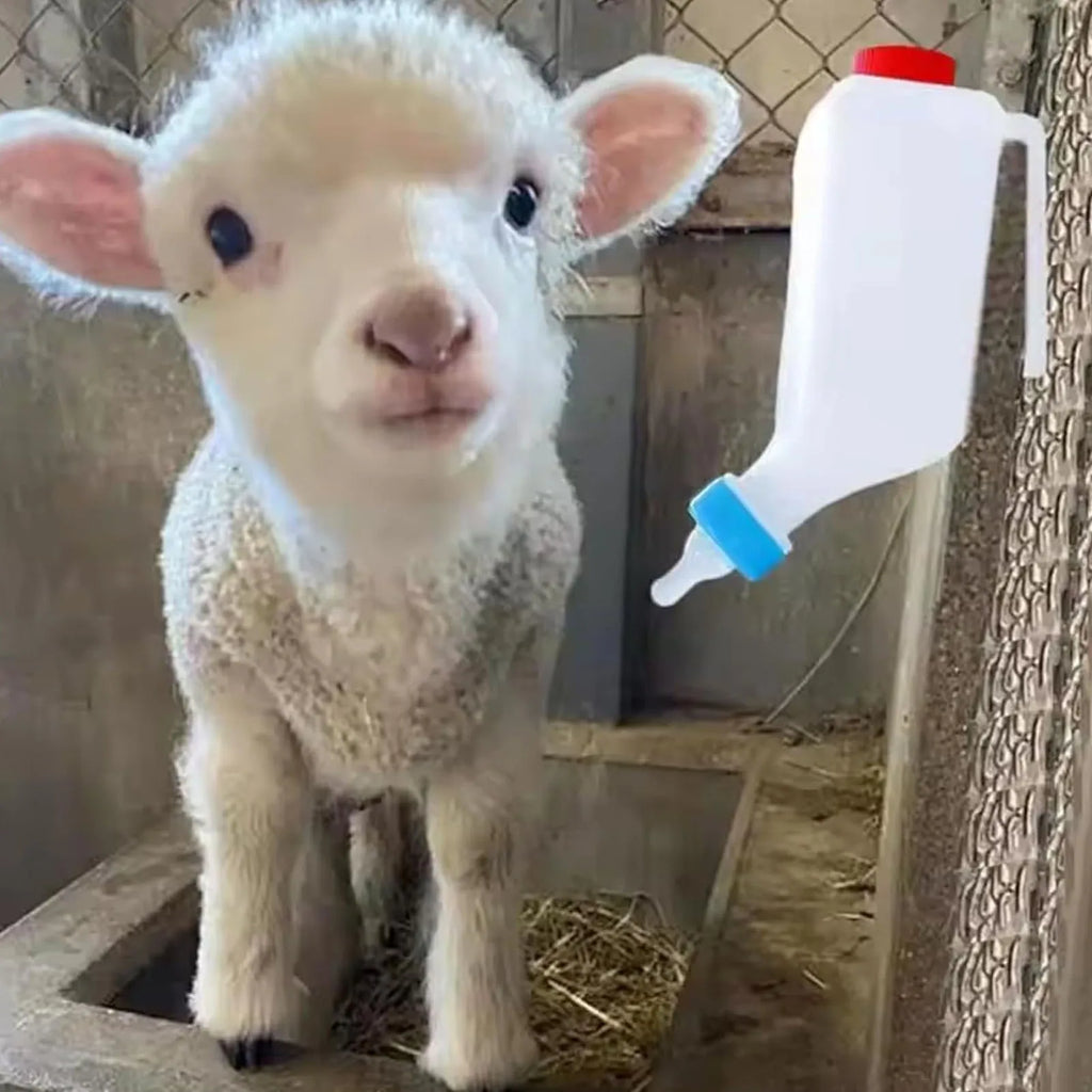 5pcs Lamb Feeding Bottle Thickened Goat Feeder Bottle with Pacifier Hanging Handle for Livestock 500ML Goat Feeding Bottle HIP