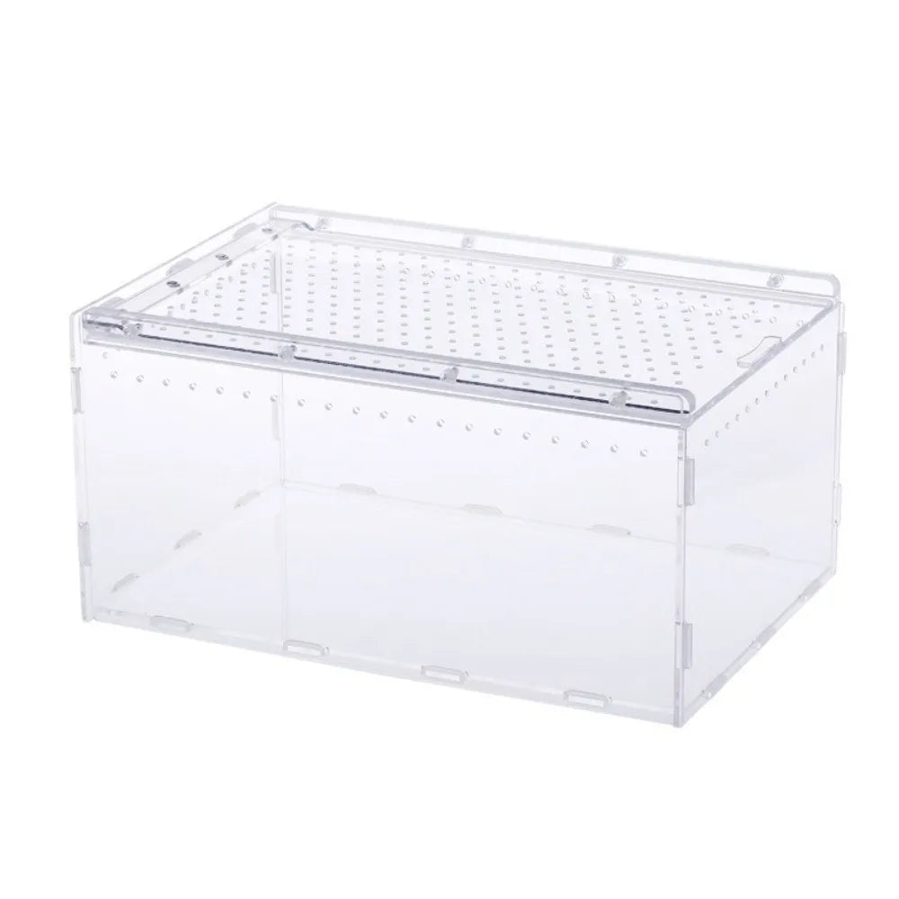 Transparent Acrylic Reptile Terrarium – Ventilated & Secure Reptile Terrarium HIP