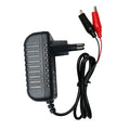 14.6V 2A LiFePO4 Charger with Dual Alligator Clips for 12V Battery Charger HIP EU Plug