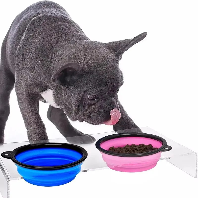 Collapsible Silicone Dog Bowl with Carabiner – Travel Pet Bowl Collapsible Pet Bowl HIP