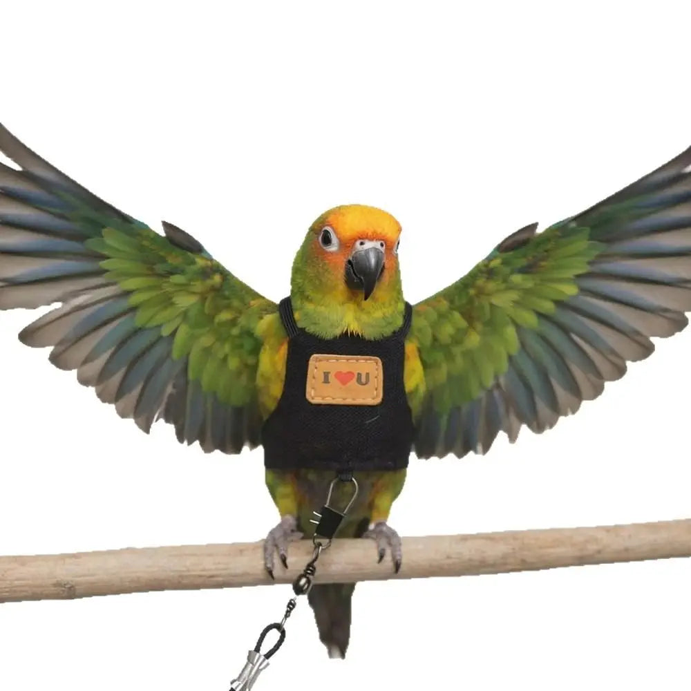 Adjustable Parrot Harness & 2M Leash – Cockatiel Flight Suit Bird Harness Leash HIP