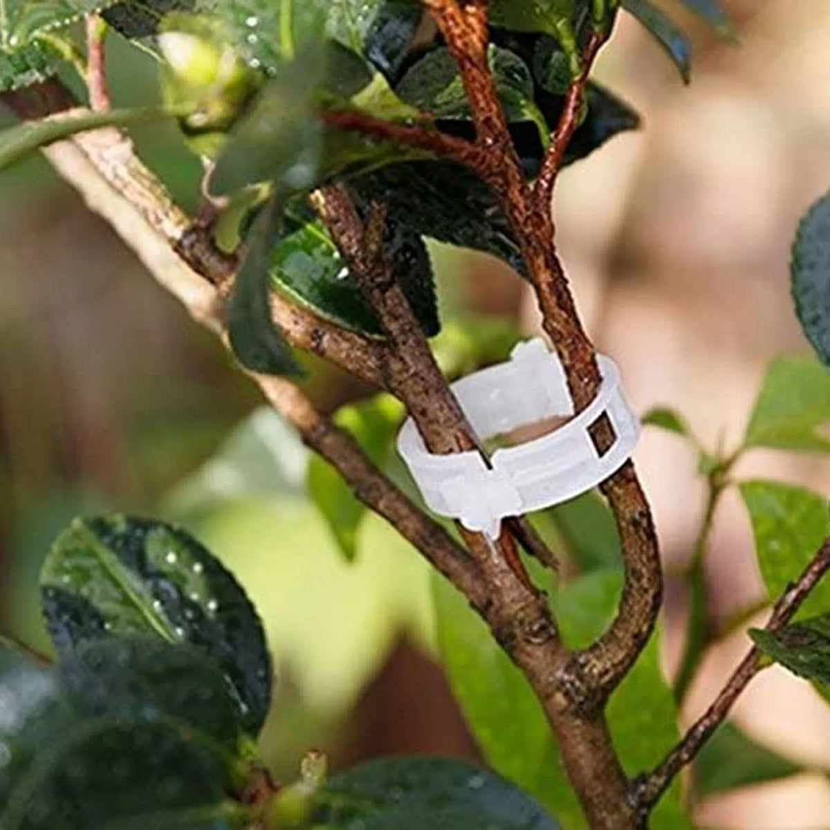 300PCS Plastic Tomato Clips Good Fixation Support Reusable Plant Support Clips for Various Vegetables Flowers Tomato Clips HIP