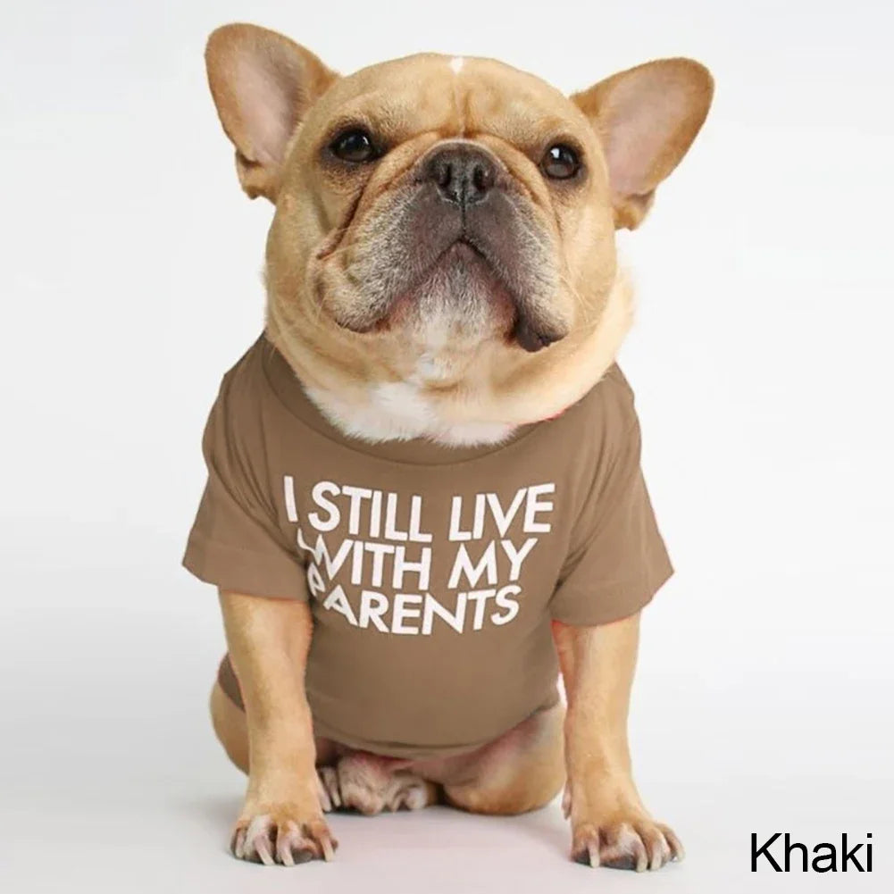 Summer Spring Dog Clothes Quality Breathable Pet Clothing Soft Letters Printed French Bulldog Clothes for Small Dogs T-shirt HIP Khaki XXL