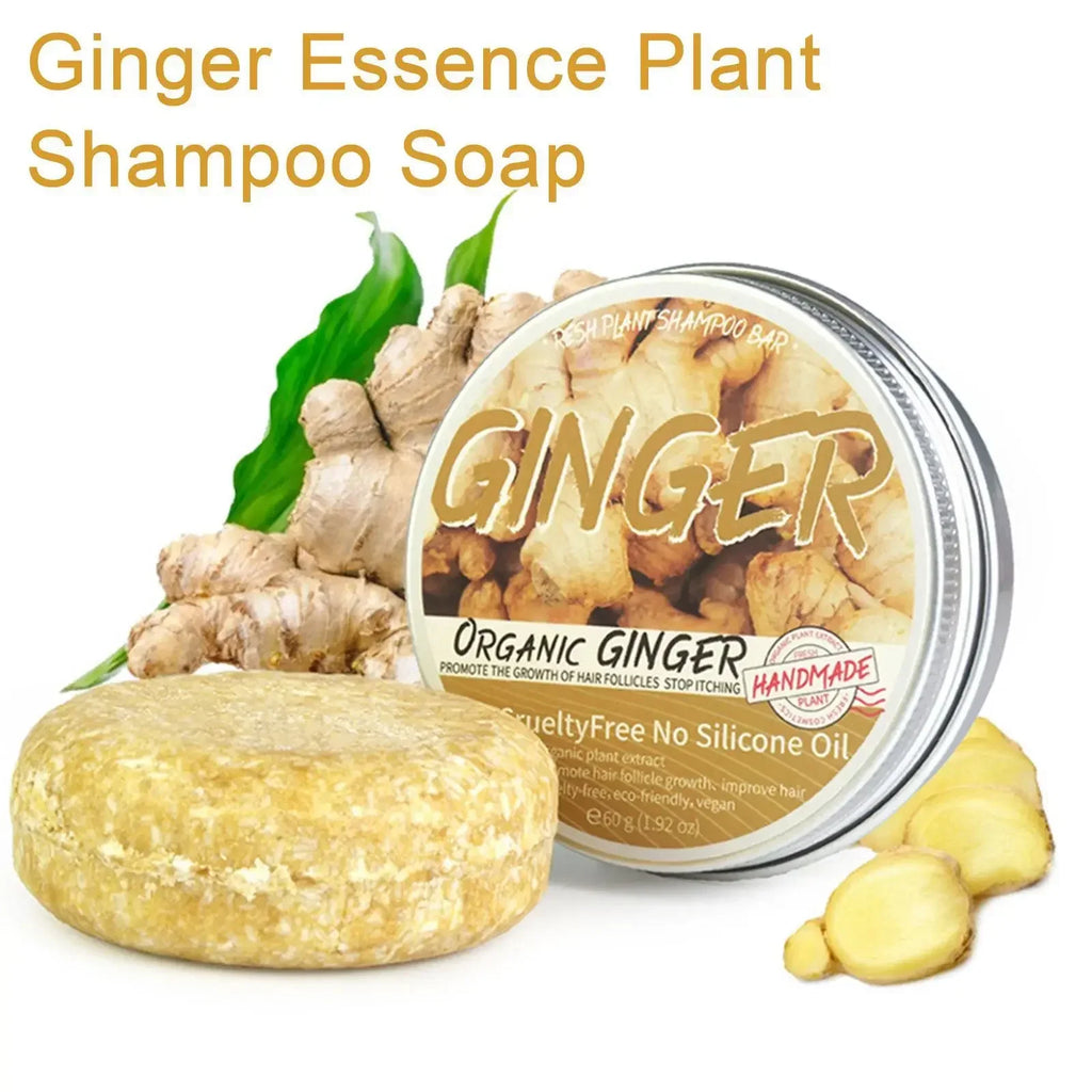 Ginger & Polygonum Shampoo Bar – Natural Cold Processed, 60g Solid Shampoo Bar HIP