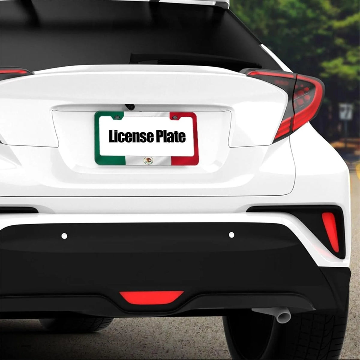 Bat & Spiderweb Aluminum License Plate Frame – Rust-Proof License Plate Frame HIP