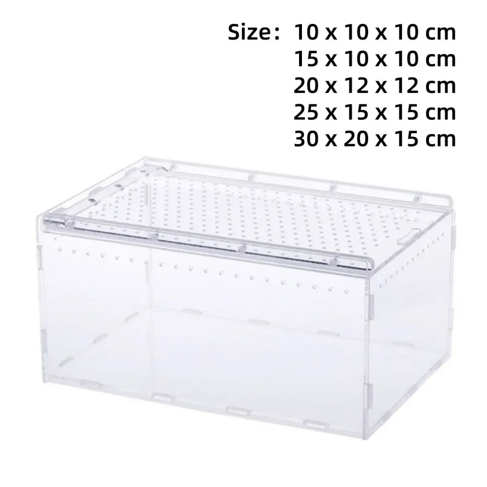 Transparent Acrylic Reptile Terrarium – Ventilated & Secure Reptile Terrarium HIP