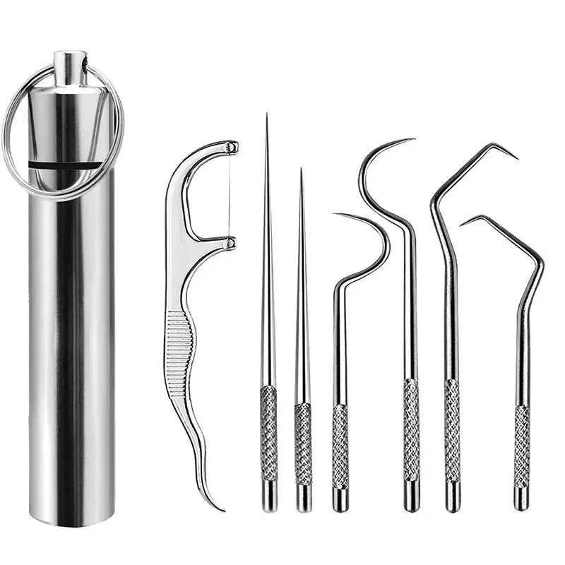 Stainless Steel Toothpick Set Tooth Flossing Reusable Toothpicks Portable Toothpick Floss Teeth Cleaner Oral Cleaning HIP