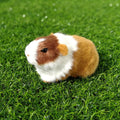 Lifelike Guinea Pig Plush Figurine – Realistic Stuffed Animal Stuffed Animal Figurine HIP Yellow