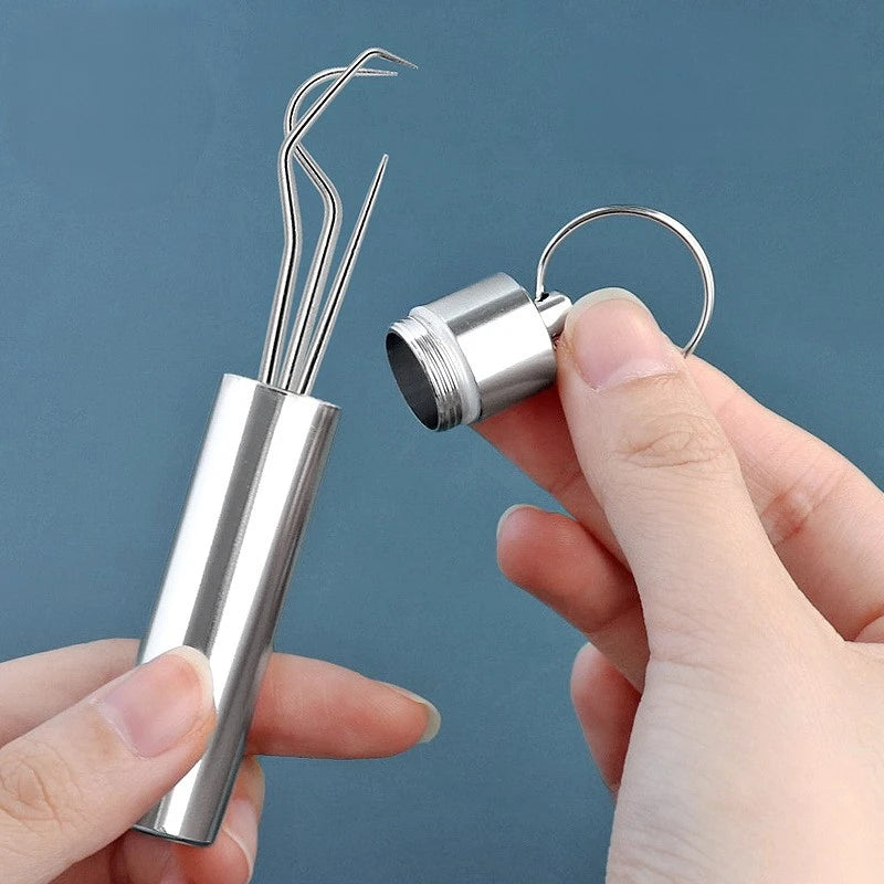 Stainless Steel Toothpick Set Tooth Flossing Reusable Toothpicks Portable Toothpick Floss Teeth Cleaner Oral Cleaning HIP