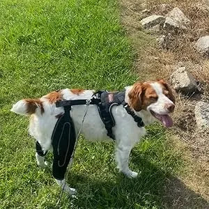 Dog Knee Brace for Hind Leg – Hinged Joint Support Wrap Dog Knee Brace HIP