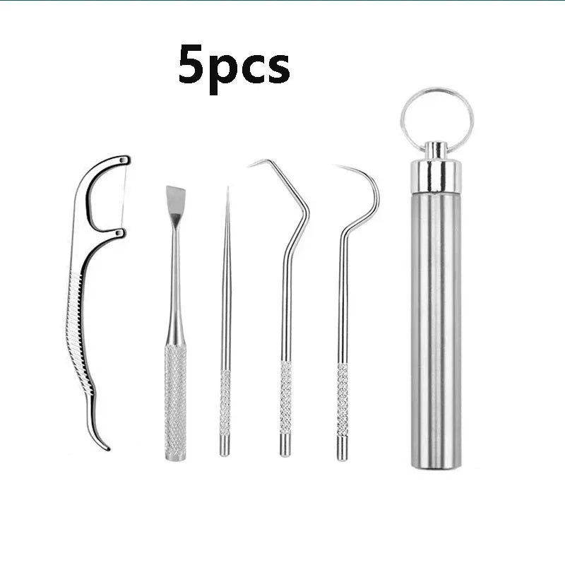 RUZOFO Reusable Steel Toothpick Set with Keychain Holder Dental Floss Pick Set HIP C625-Silver 5pcs