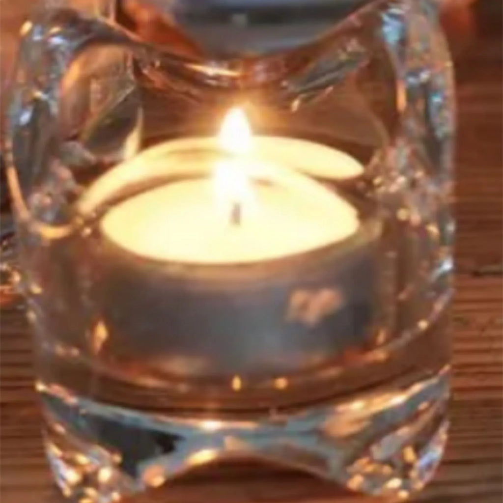 100 Packs Unscented Tea Lights Candles 4 Hour Smokeless Dripless Mini Paraffin Tealight Candles Set for Weddings White HIP