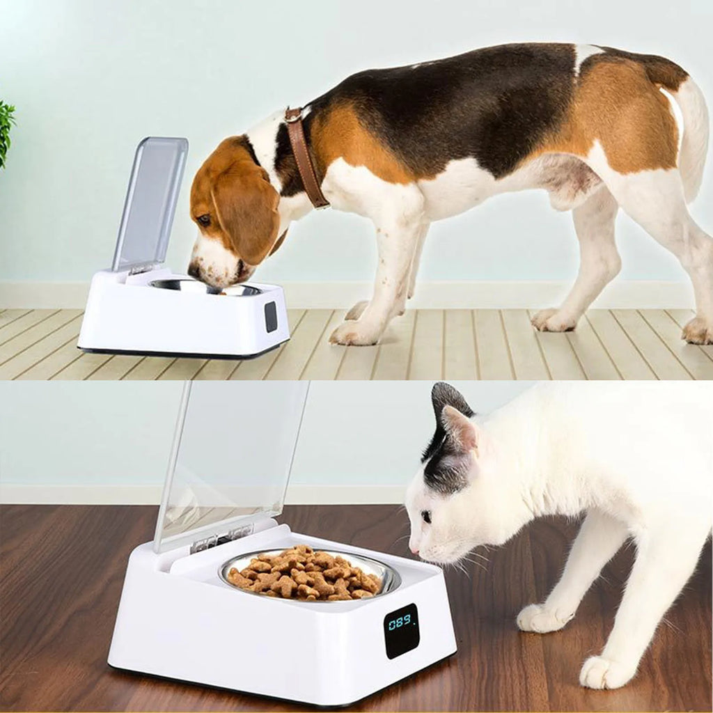 Pet Smart Feeder Induction Lid Opening Rechargeable Dog Cat Feeding Bowl for Small Medium Pet 350ml HIP
