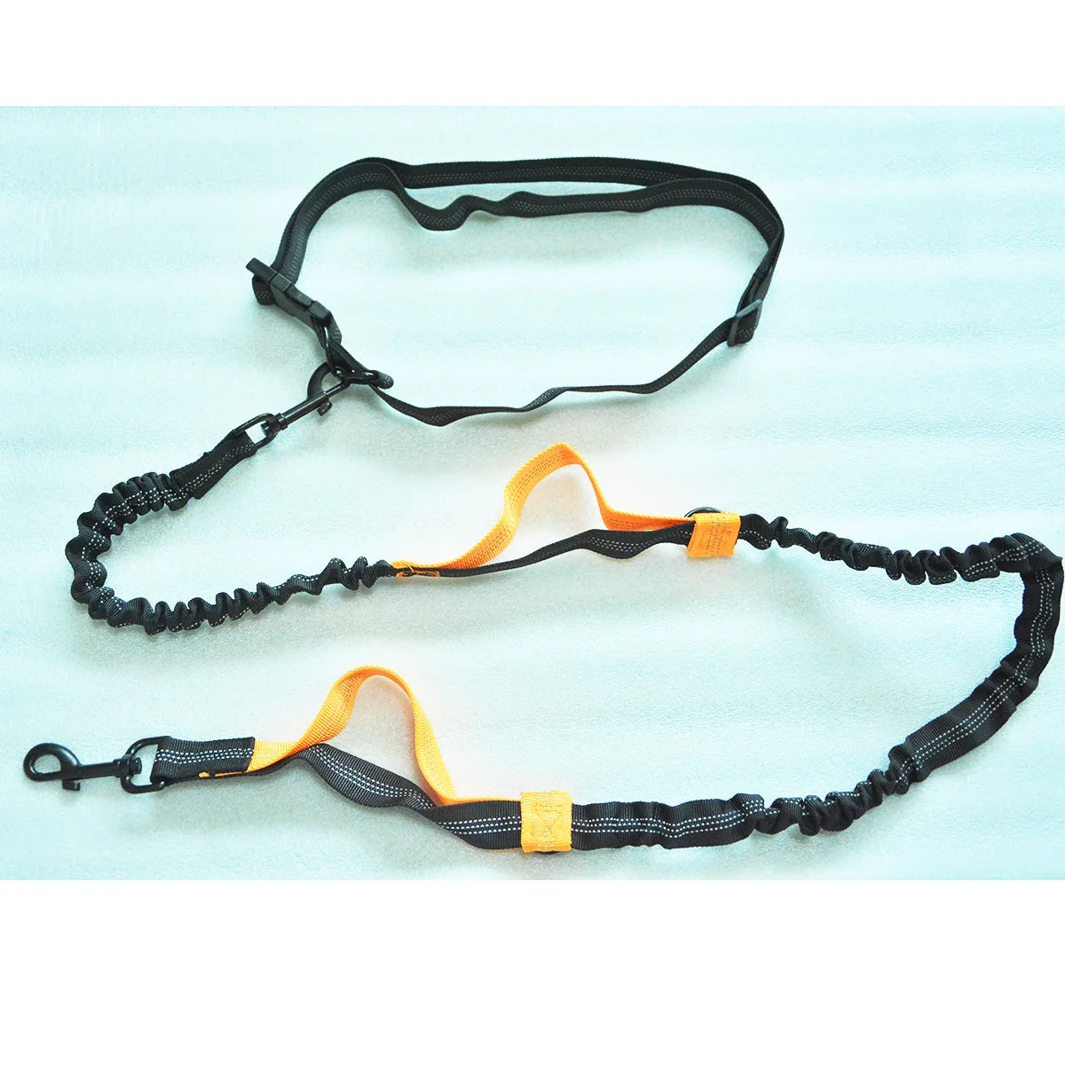 Double Elastic Reflective Running Leash Portable Retractable Dog Leash Dog Chain Leash Pet Supplies Wholesale HIP orange China Mainland