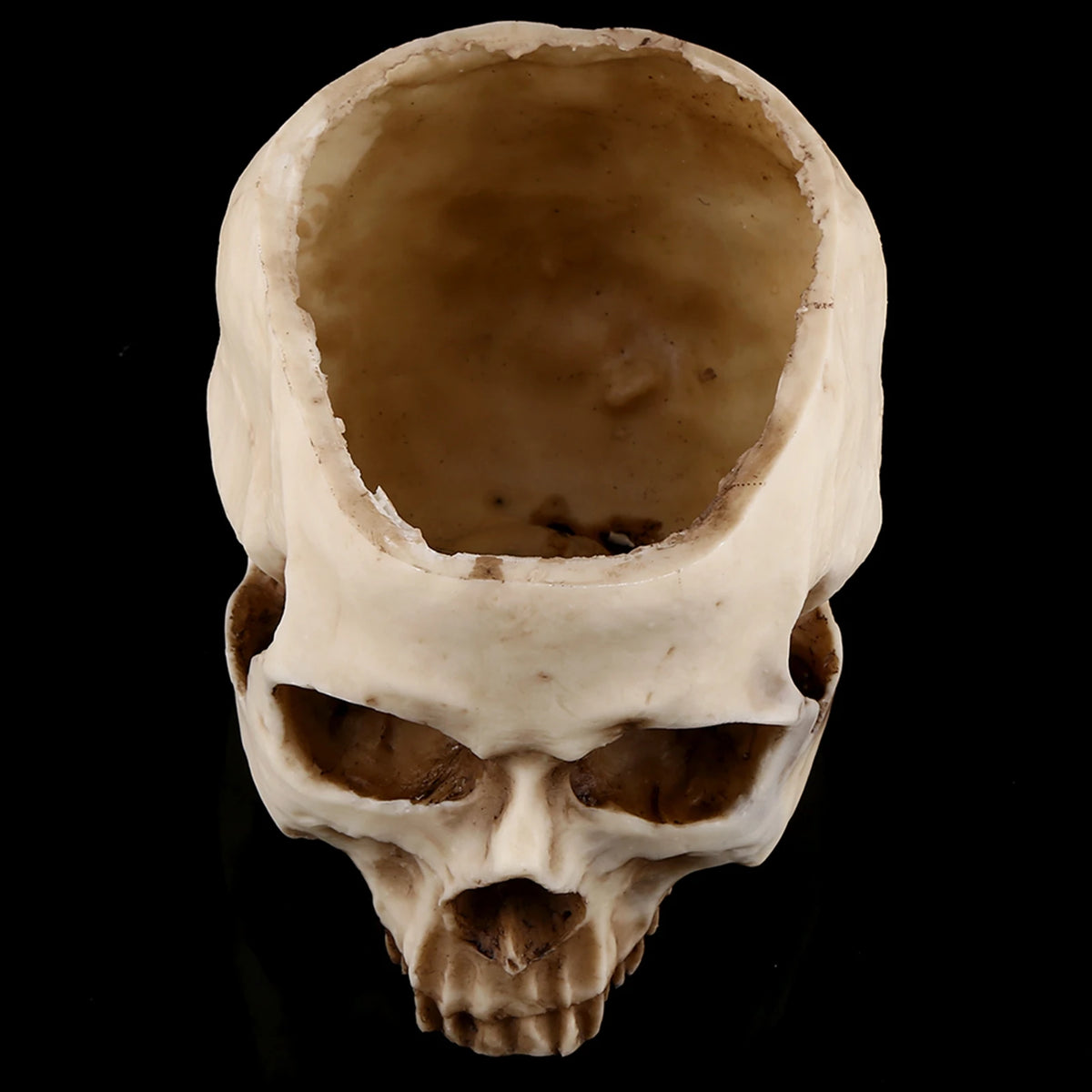 Resin Skull Head Design Flower Pot Planter Container Decoration Skull Container Skull Pot Skull Plant Pot Skull Flowerpot HIP