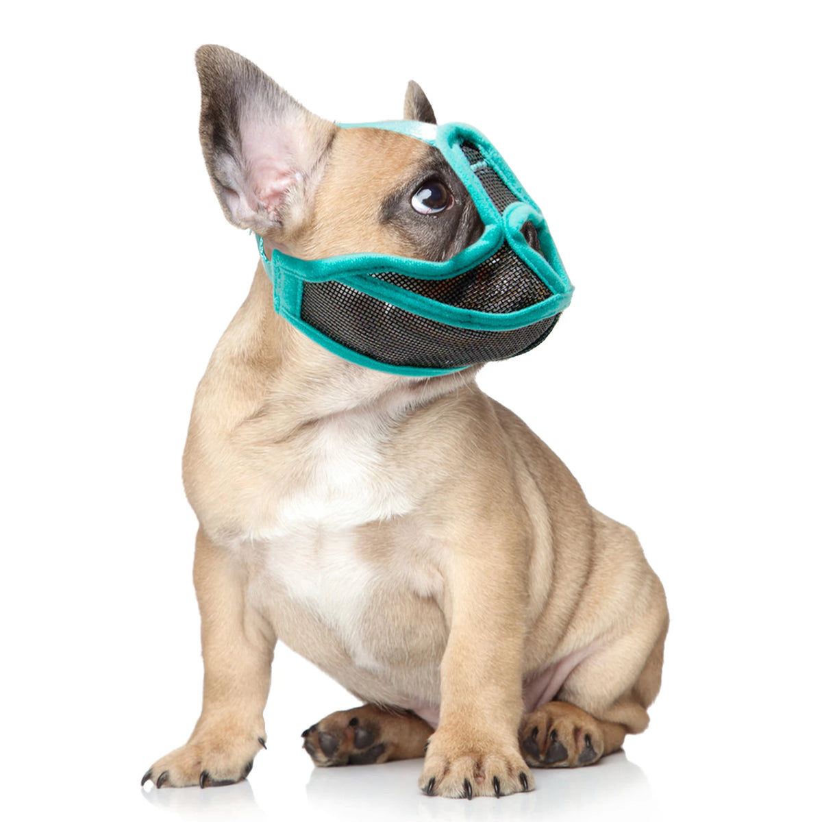 Short Snout Dog Muzzle Mesh Adjustable Breathable Anti Biting Bulldog Short Snout Muzzle for Dogs Short Snout Bulldog Muzzle HIP