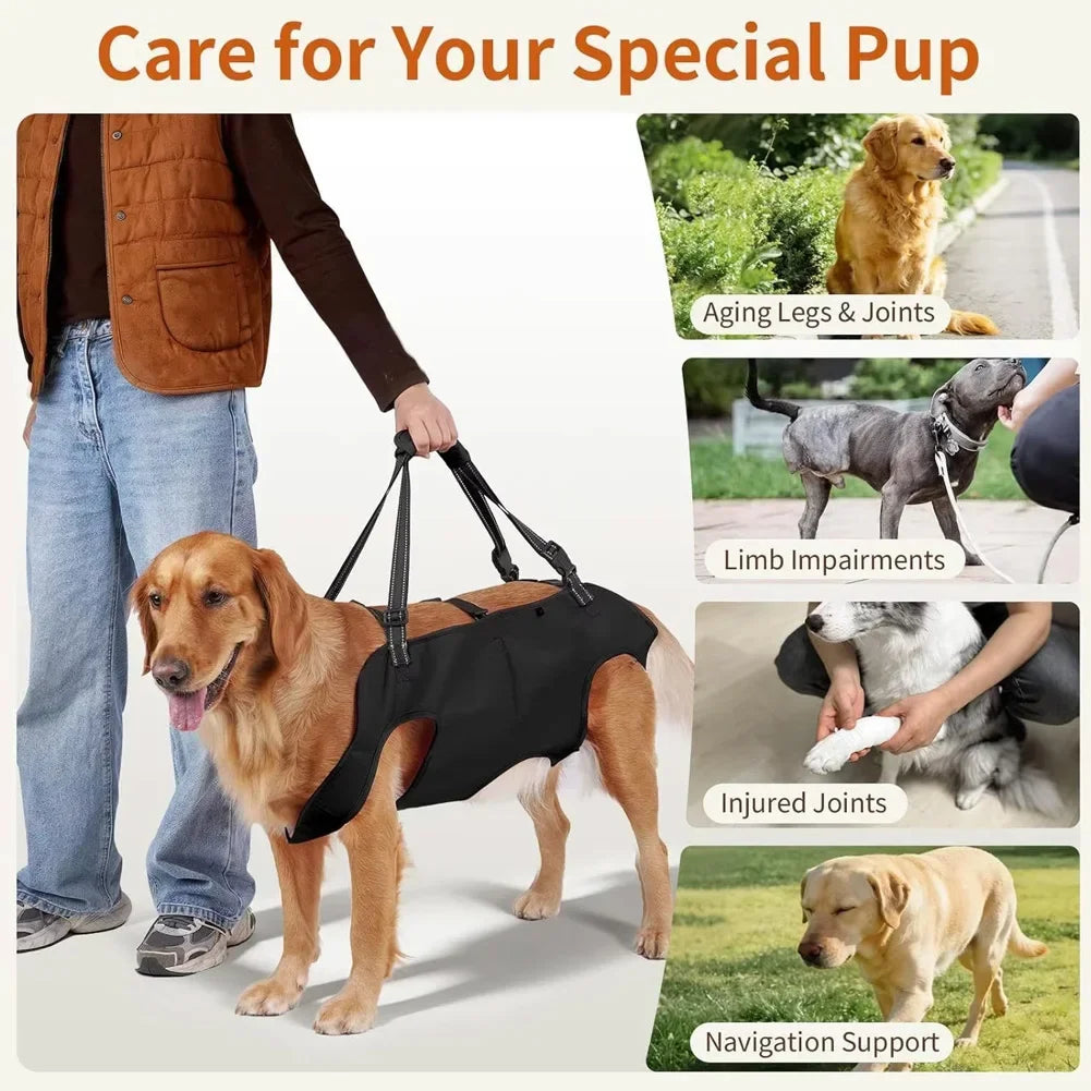S-2XL Adjustable Padded Handle Strap Dog Lift Strap Elderly Disabled Dog Rehabilitation Walker Support Strap Pet Supplies HIP