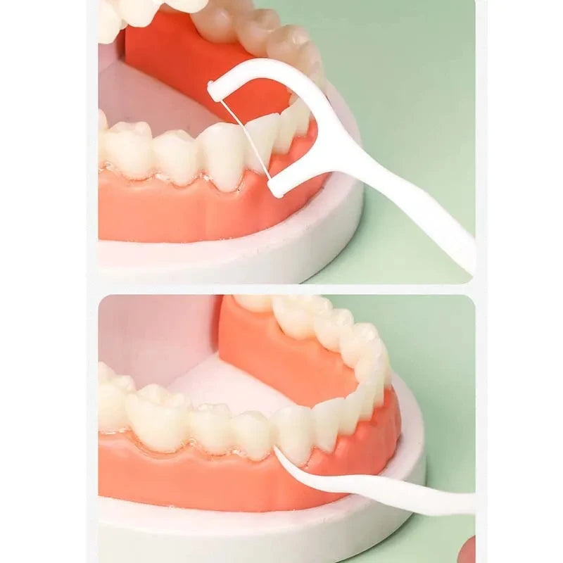 RUZOFO Disposable Dental Floss Picks – Portable Oral Care Dental Floss Picks HIP