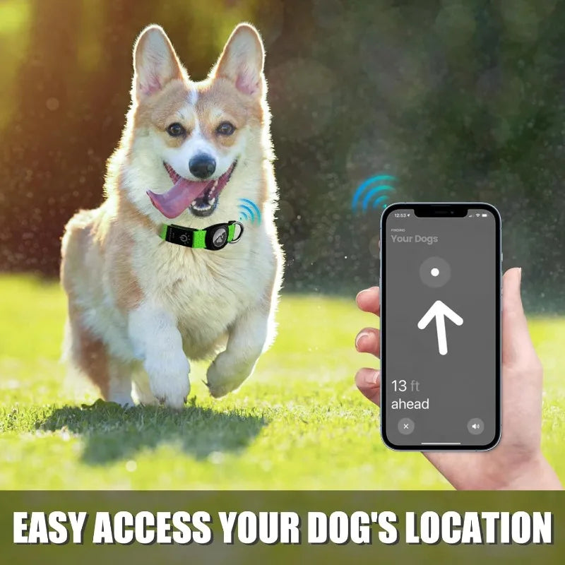 LED Rechargeable Dog Collar with AirTag Case – All Sizes LED Pet Collar HIP