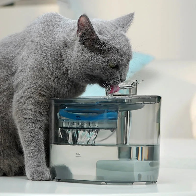 Cat Water Fountain Automatic Cats Dog Drinking Fountain with Recirculate Filters USB Electric Water Pump Pet cat Water Dispenser HIP