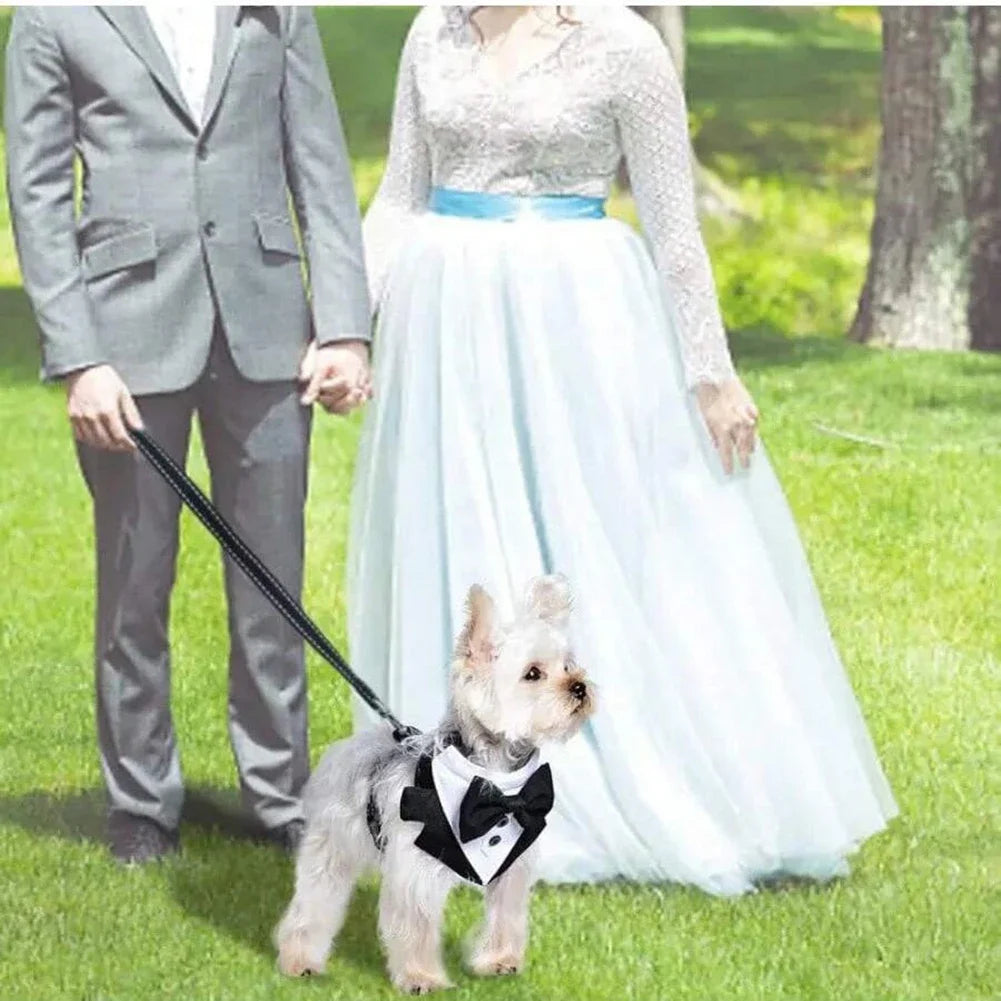 Dog Tuxedo Wedding Outfit Formal Pet Suit with Bow Adjustable Strap Small Medium Sized Dog Party Birthday Photography Costume HIP