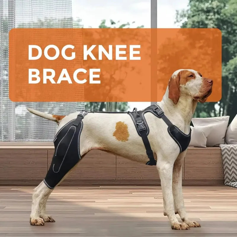 Dog Knee Brace for Hind Leg – Hinged Joint Support Wrap Dog Knee Brace HIP