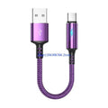 Nylon Braided USB-C Cable 25cm – 480Mbps, 2.4A Fast Charging USB-C Cable HIP for Purple CN
