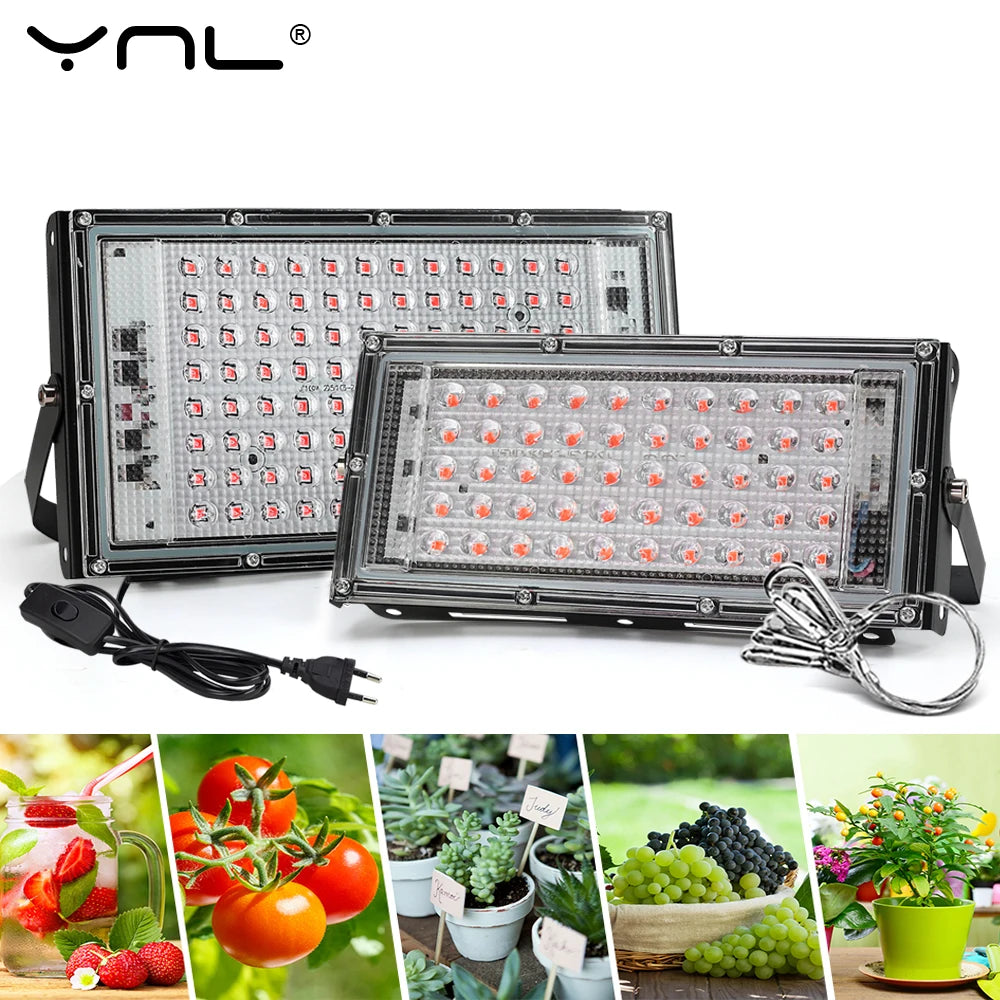 YNL Full Spectrum LED Grow Light 50W 100W 150W | Phyto Lamp LED Grow Light HIP EU 50 W