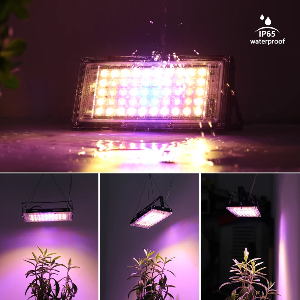 50W Full Spectrum LED Grow Light – Greenhouse & Hydroponics LED Grow Light HIP
