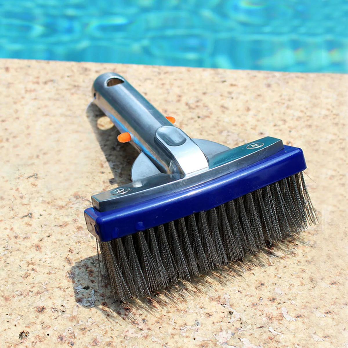 5.5in Swimming Pool Stainless Steel Brush for Spa Pond Floor Wall Cleaning Equipment HIP