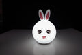 LED Animal Silicone Night Light – Rechargeable Kids Lamp Kids Night Light HIP Rabbit USB Plug