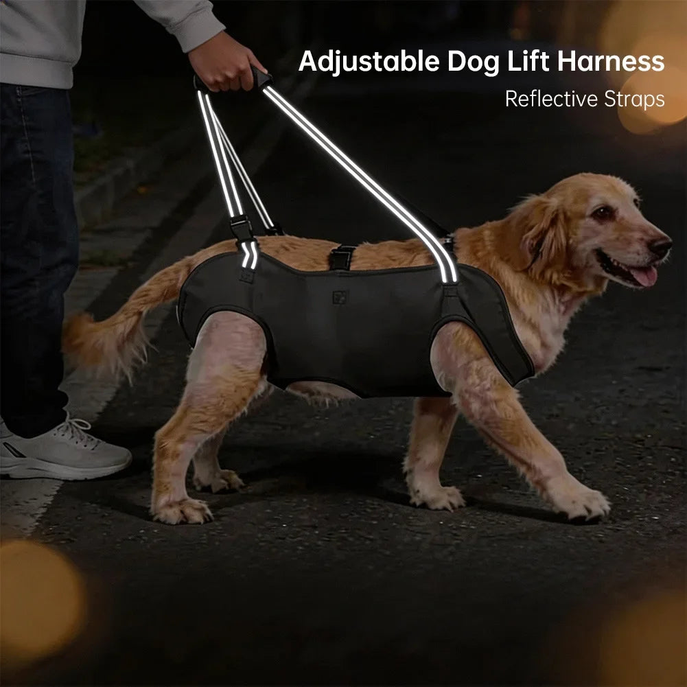 S-2XL Adjustable Padded Handle Strap Dog Lift Strap Elderly Disabled Dog Rehabilitation Walker Support Strap Pet Supplies HIP