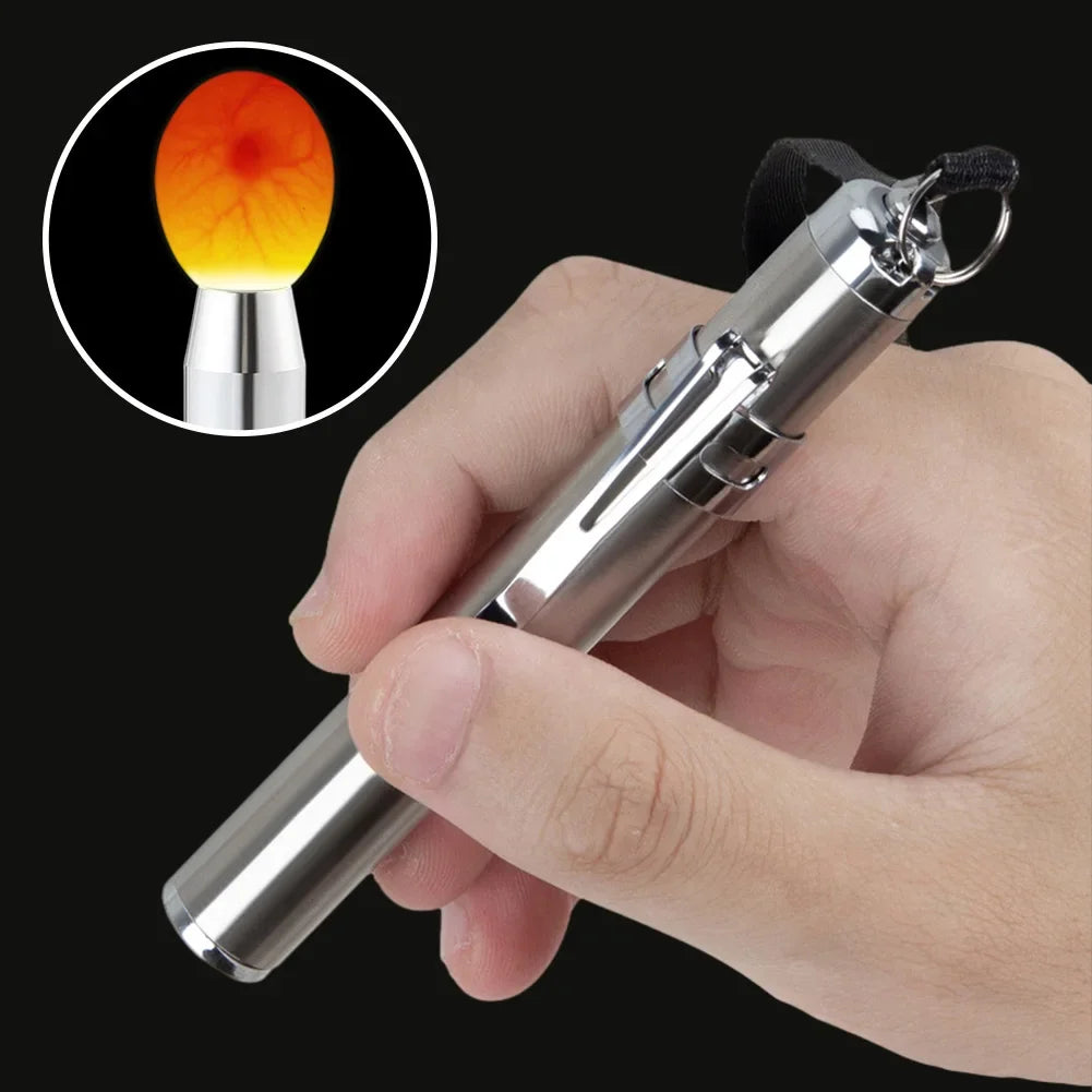 Livestock Incubator Light Inspection Stainless Steel Cold Light Flashlight LED Egg Detector Hatching Equipment Chicken Tools HIP
