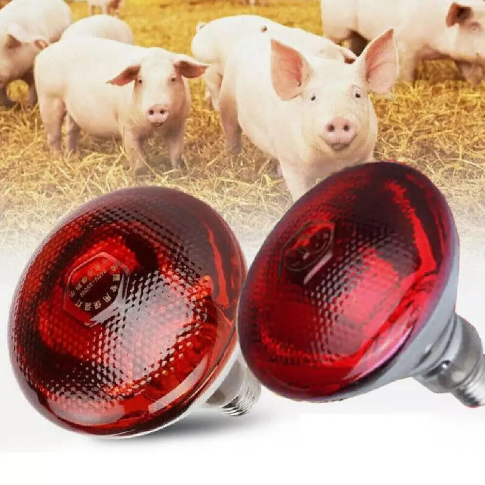 Red Heat Bulb Lamp Heat Preservation Lamp Day Night Amphibian Snake Lamp Heat Reptile Bulb UV Light For Chicks Piglets HIP
