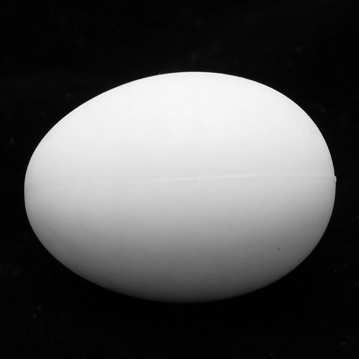 Plastic Fake Pigeon Egg Fake Egg Simulation Hatching Breeding Supplies for Birds Fake Eggs Simulation Pigeon Eggs HIP